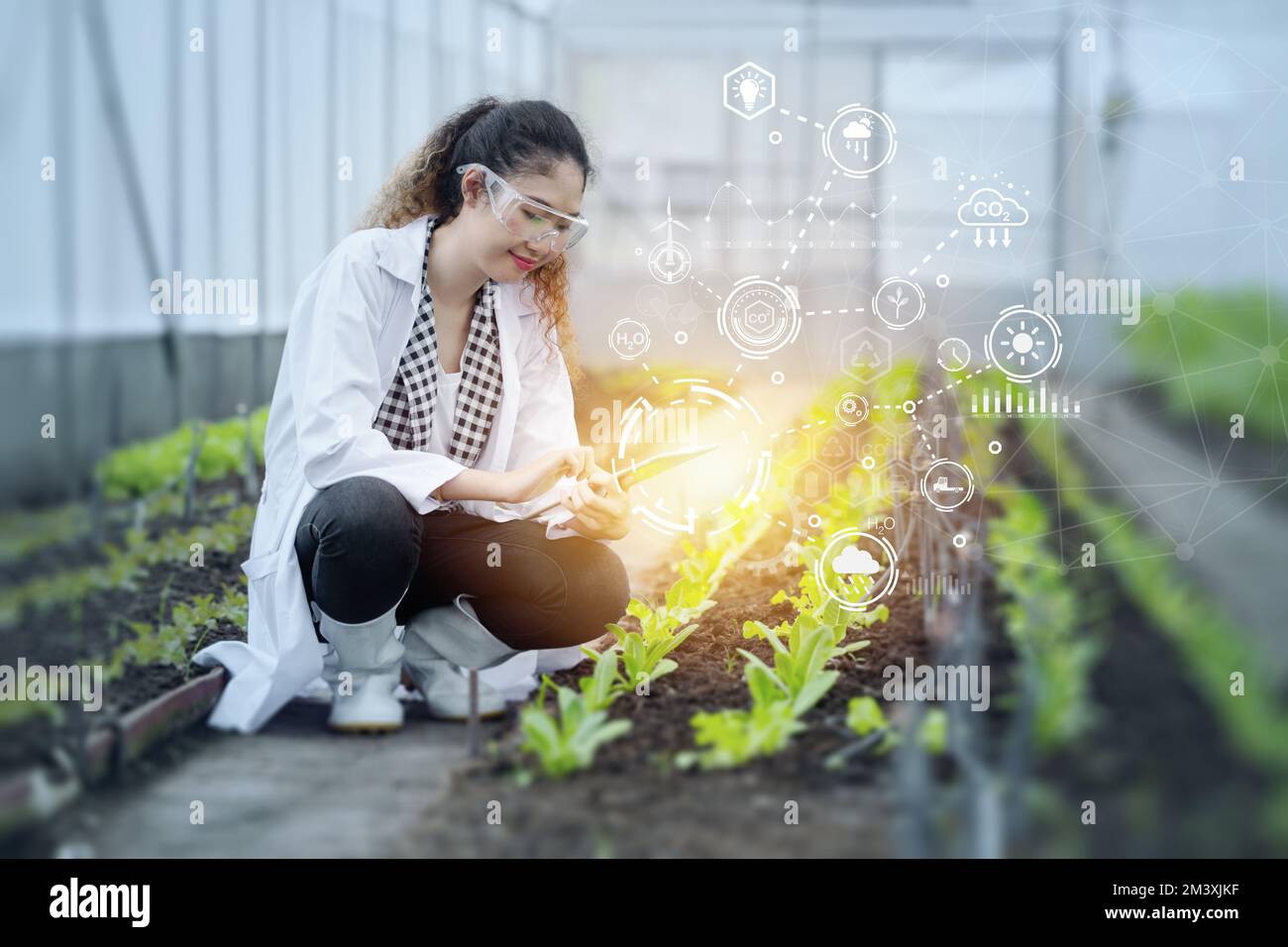 Concetto moderno di scienza e tecnologia dell'agricoltura. Il personale dei ricercatori agricoli che lavora si sovrappone all'icona della tecnologia IOT. Foto Stock