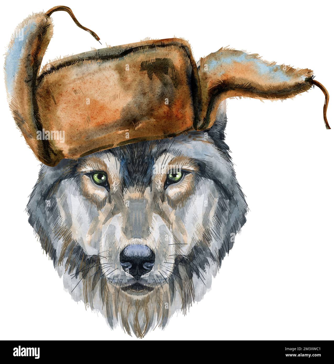 Ritratto Wolf in cappello con alette auricolari. Illustrazione del lupo grigio acquerello. Bellissimo mondo della fauna selvatica Foto Stock