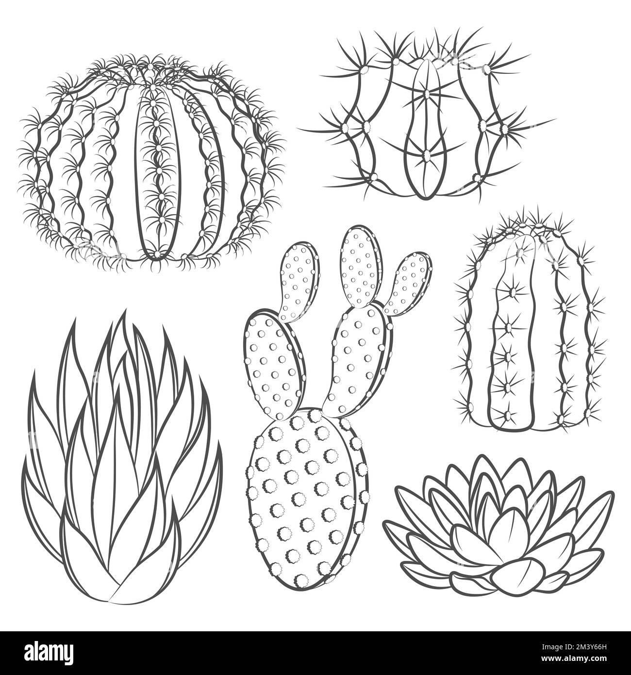 Set di illustrazioni in bianco e nero con cactus e succulente. Oggetti vettoriali isolati su sfondo bianco. Illustrazione Vettoriale