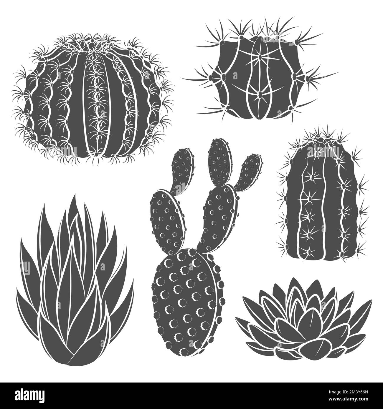 Set di illustrazioni in bianco e nero con cactus e succulente. Oggetti vettoriali isolati su sfondo bianco. Illustrazione Vettoriale