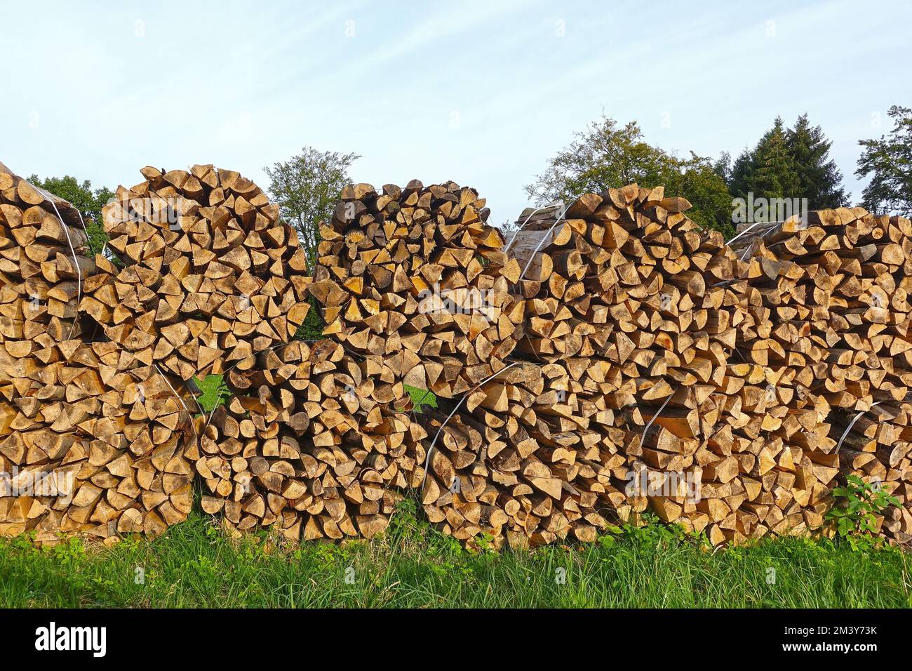 Fasci di legna da ardere su un prato verde Foto Stock