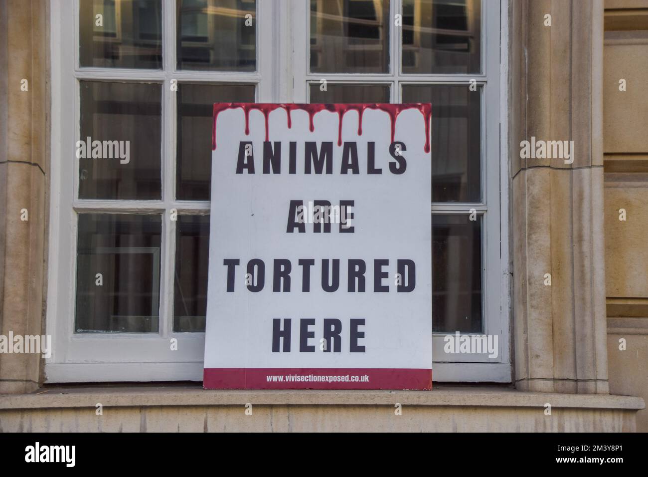 Londra, Regno Unito. 17th Dec, 2022. Durante la dimostrazione si vede un cartello che recita "gli animali sono torturati qui”. Gli attivisti per i diritti degli animali si sono riuniti fuori dall'Imperial College di Londra per protestare contro gli esperimenti sugli animali all'università. (Foto di Vuk Valcic/SOPA Images/Sipa USA) Credit: Sipa USA/Alamy Live News Foto Stock