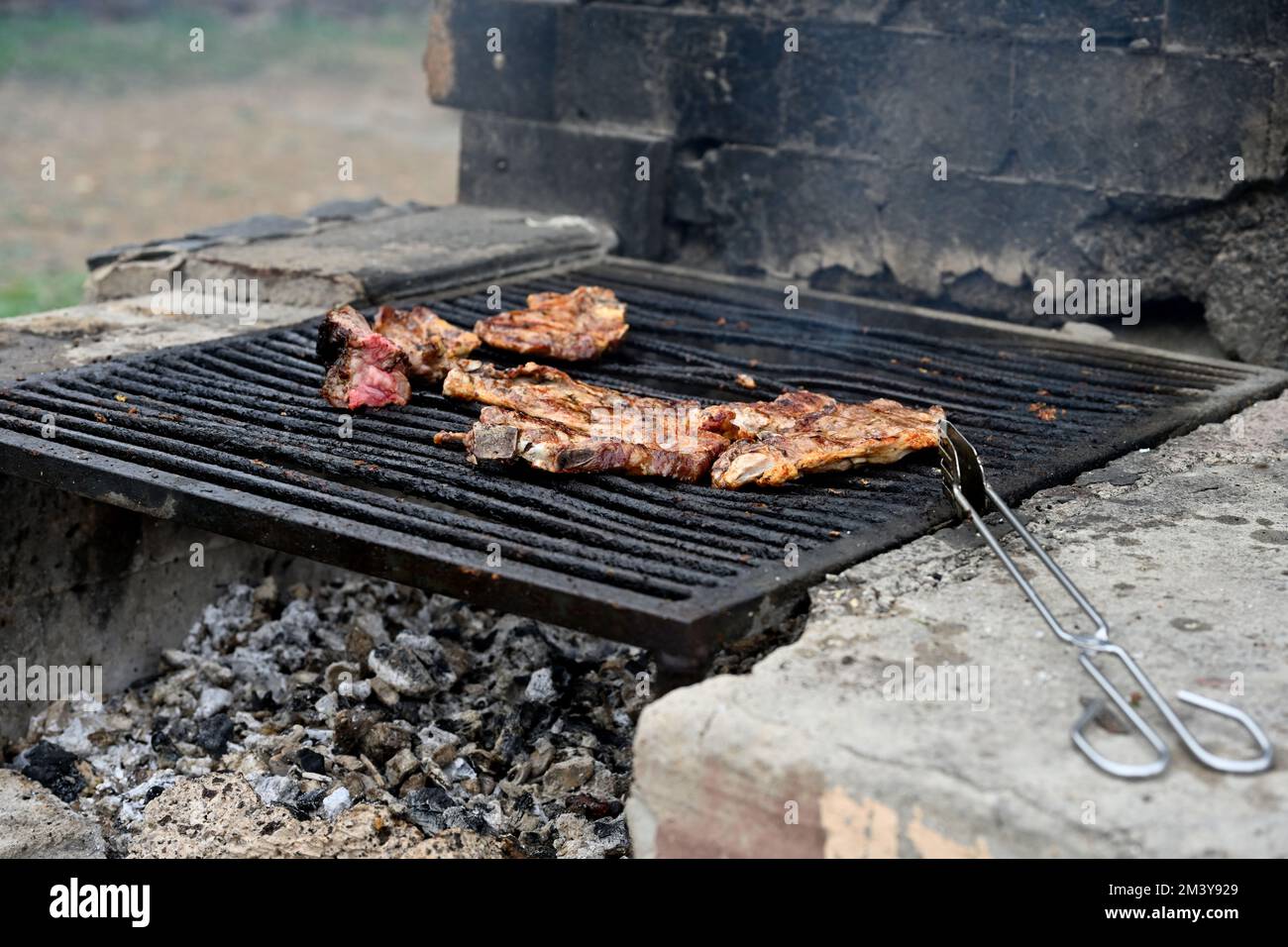 La carne viene cucinata sul tradizionale barbecue pubblico nel parco Foto Stock