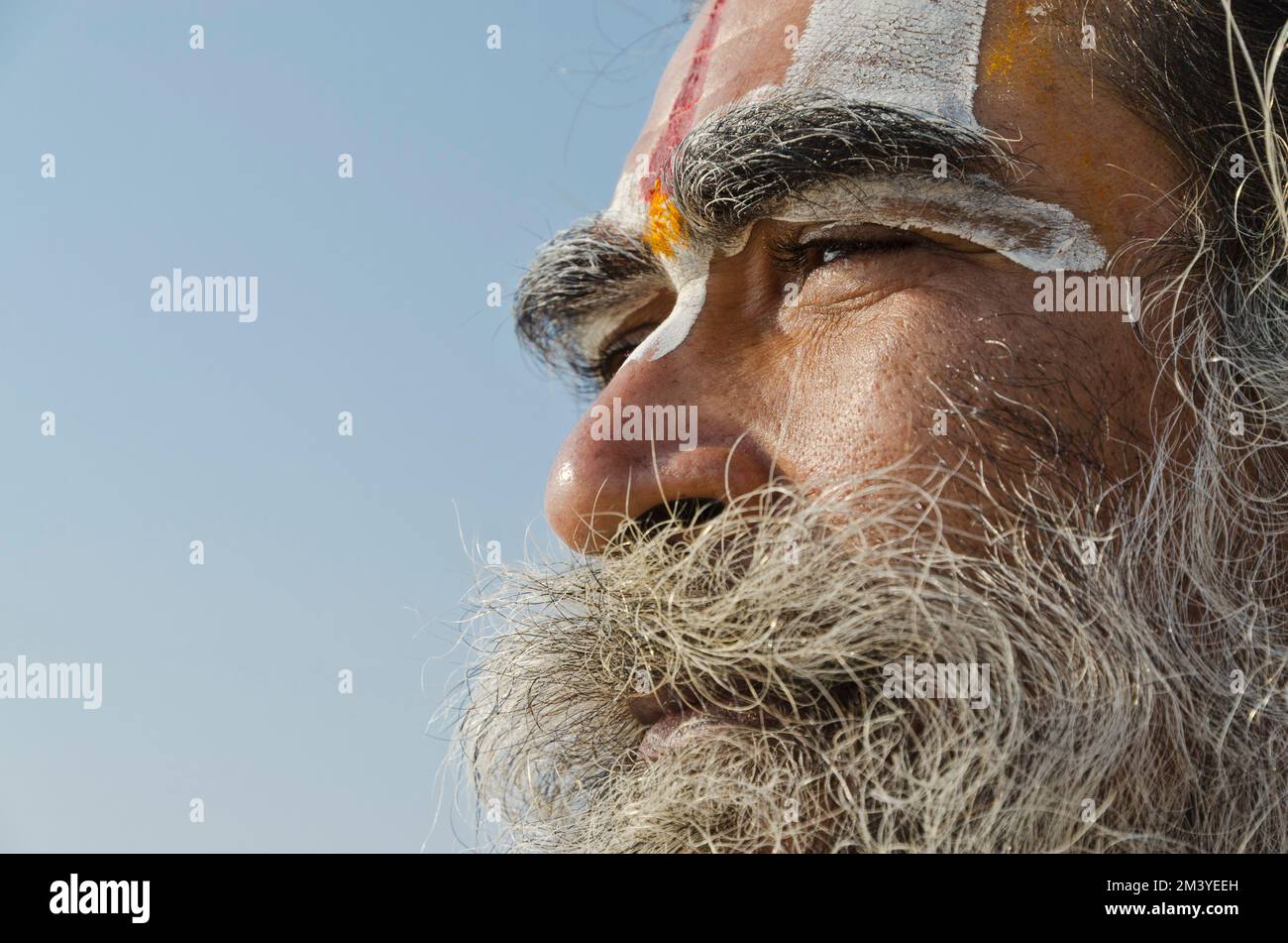 Ritratto di un pellegrino maschile, pregando a Sangam, la confluenza dei santi fiumi Ganges, Yamuna e Saraswati Foto Stock