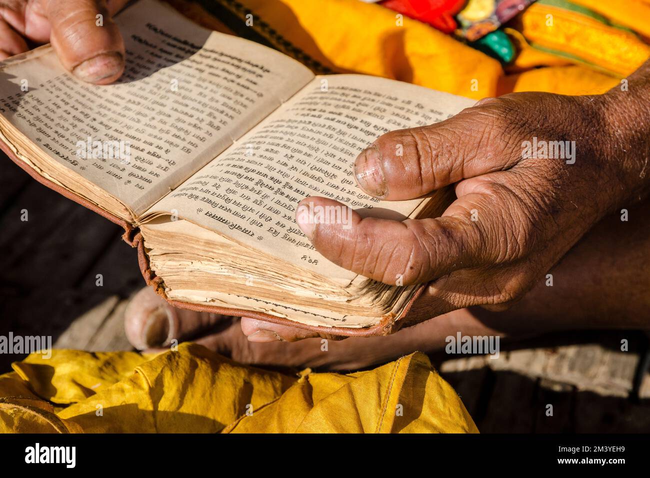 Mani di un Sadhu recita dai libri sacri la mattina a Sangam, la confluenza dei fiumi santi Ganges, Yamuna e Saraswati Foto Stock