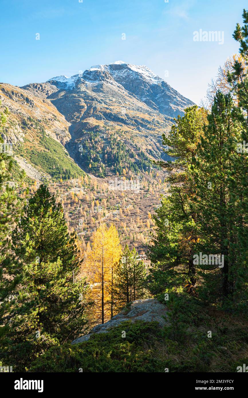 Magnifica vista sulla valle del Morteratsch, sulle Alpi svizzere Foto Stock