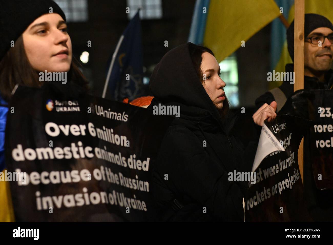 Londra, Regno Unito. 17th dicembre 2022. Protesta Ucraina - Stop Ecocide Ucraina decine di migliaia di persone e animali uccidono dopo l'invasione russa dell'Ucraina nel 17th dicembre 2022,. I manifestanti ucraini grida per più armi "armare l'Ucraina come hai promesso" sono coraggiosi difenderanno il loro paese, non c'è bisogno che gli Stati Uniti/Regno Unito/NATO combatteranno per noi. Ti basterà armarci come ti prometti fuori da Downing Street. Credit: Vedi li/Picture Capital/Alamy Live News Foto Stock