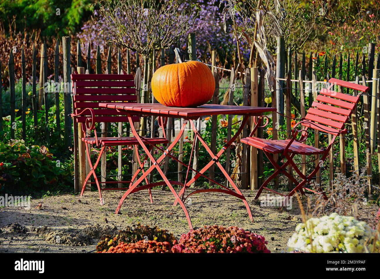 Grande zucca su un tavolo da giardino rosso, Germania Foto Stock