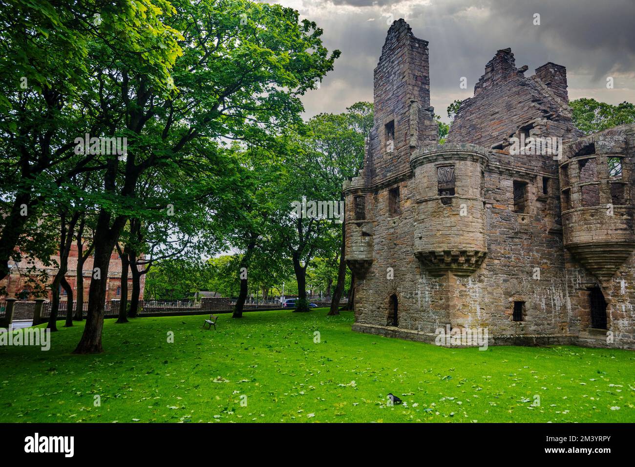 Palazzo Vescovile e dei conti di Kirkwall, Isole Orcadi, Regno Unito Foto Stock