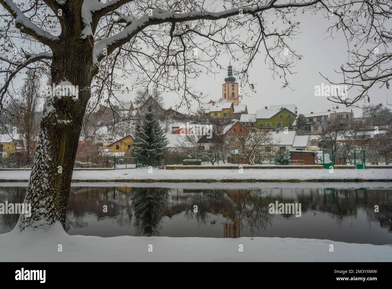 Sentiero innevato con albero vicino a Veseli nad Luznici città in inverno freddo giorno bianco Foto Stock