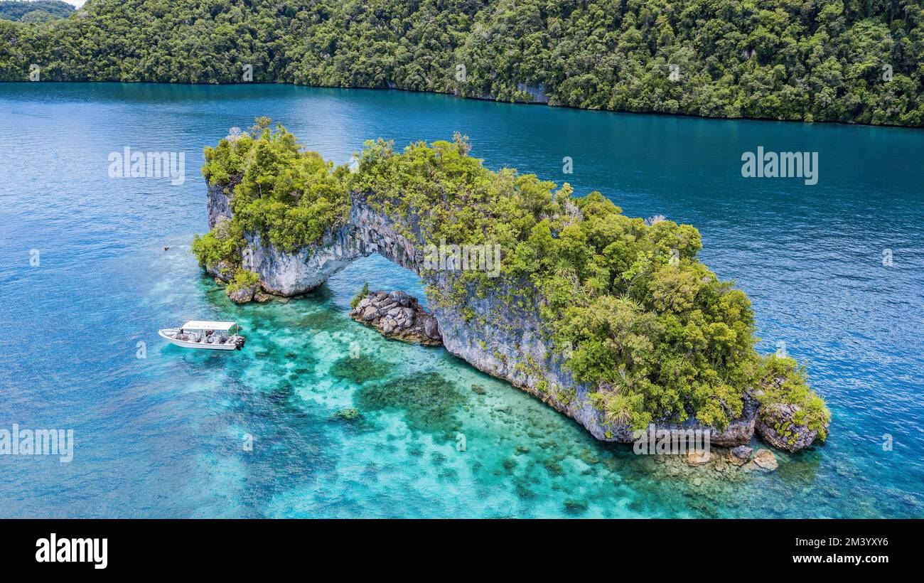 Vista dall'alto dell'arco di roccia nella laguna di Palau, Oceano Pacifico, Repubblica di Palau Foto Stock