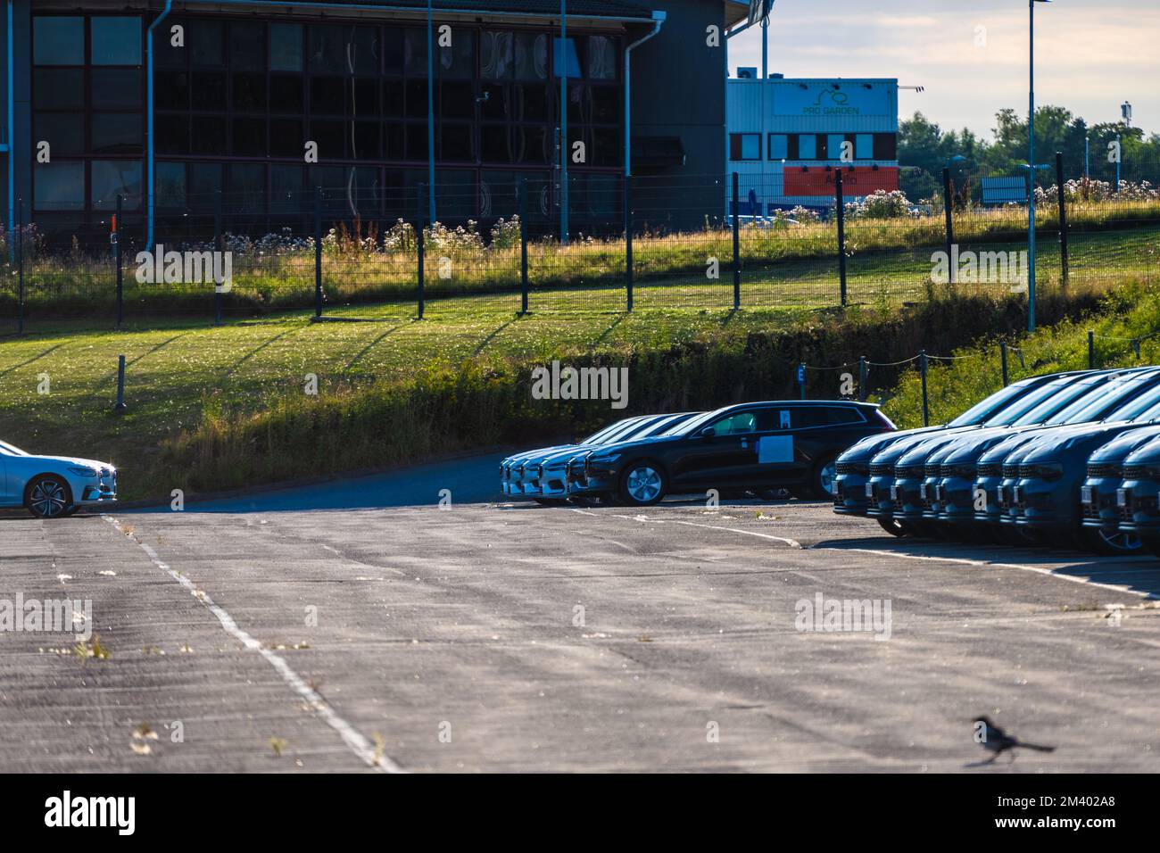 Goteborg, Svezia - 30 2022 luglio: Sei Volvos alla fine di un parcheggio presso un concessionario di auto Foto Stock