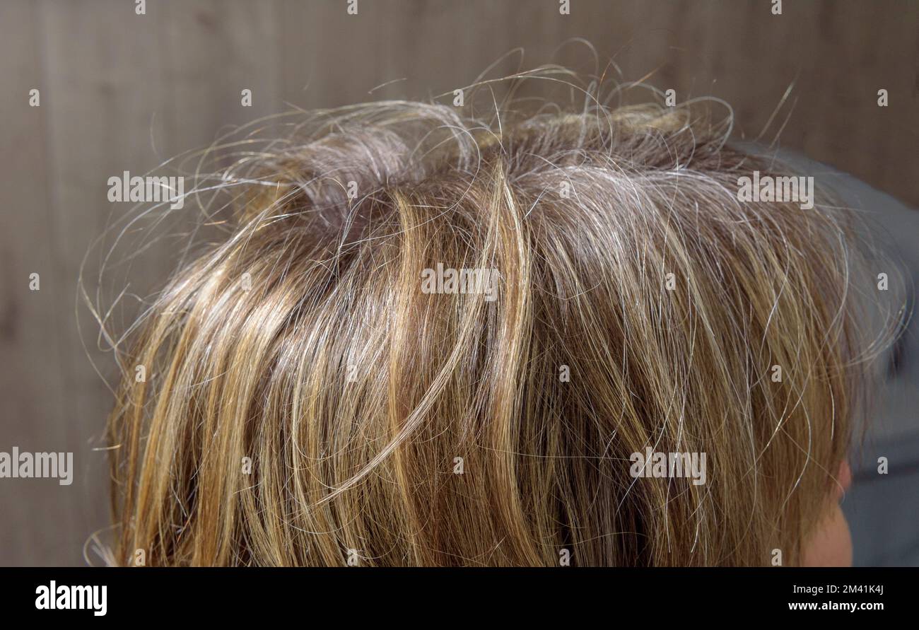 struttura dei capelli. prima del processo di colorazione. messa a fuoco selezionata Foto Stock
