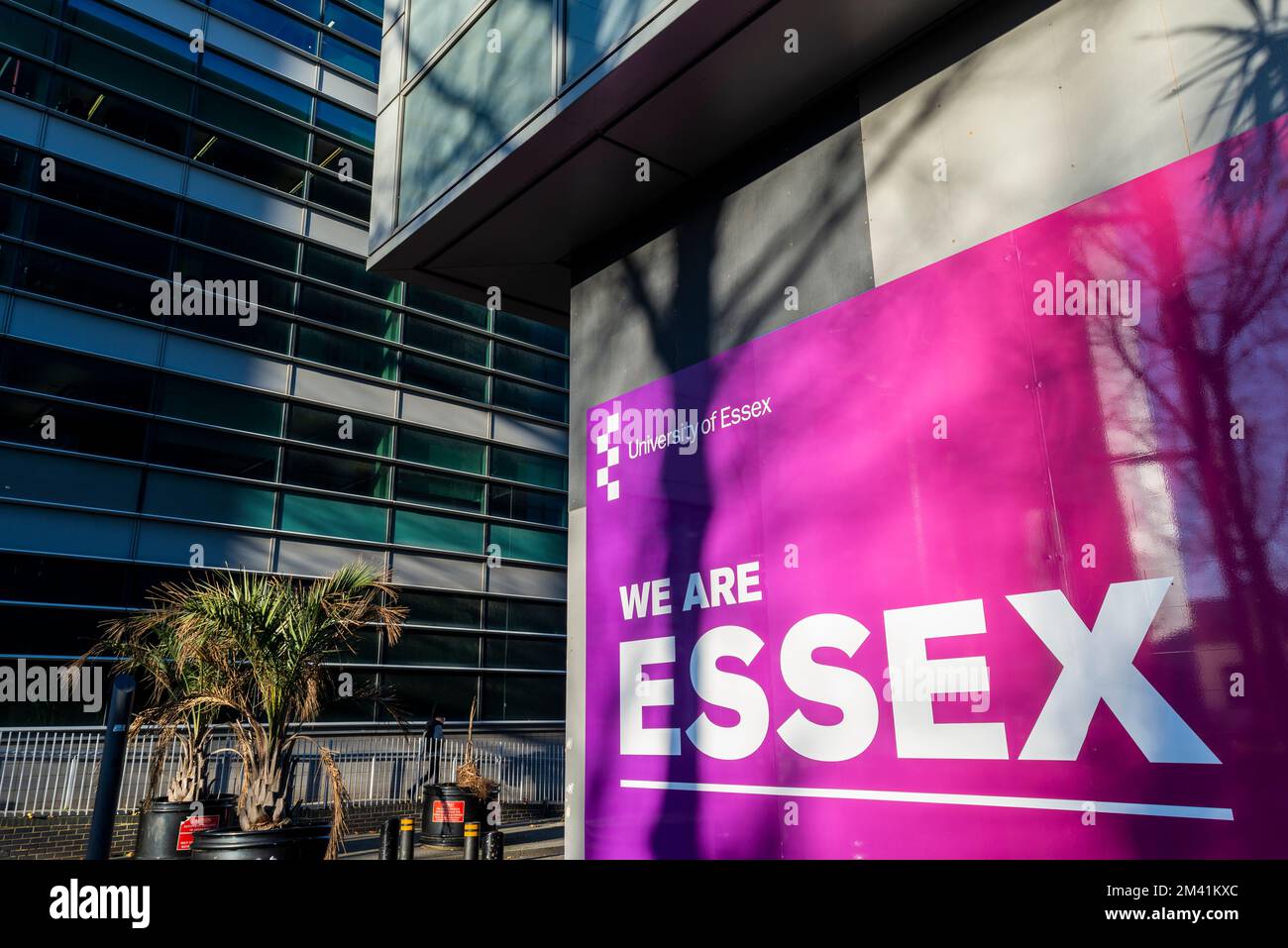 L'Università di Essex a Southend su SEA, Essex, Regno Unito. Siamo segno Essex fuori dal South Essex College University Building Foto Stock