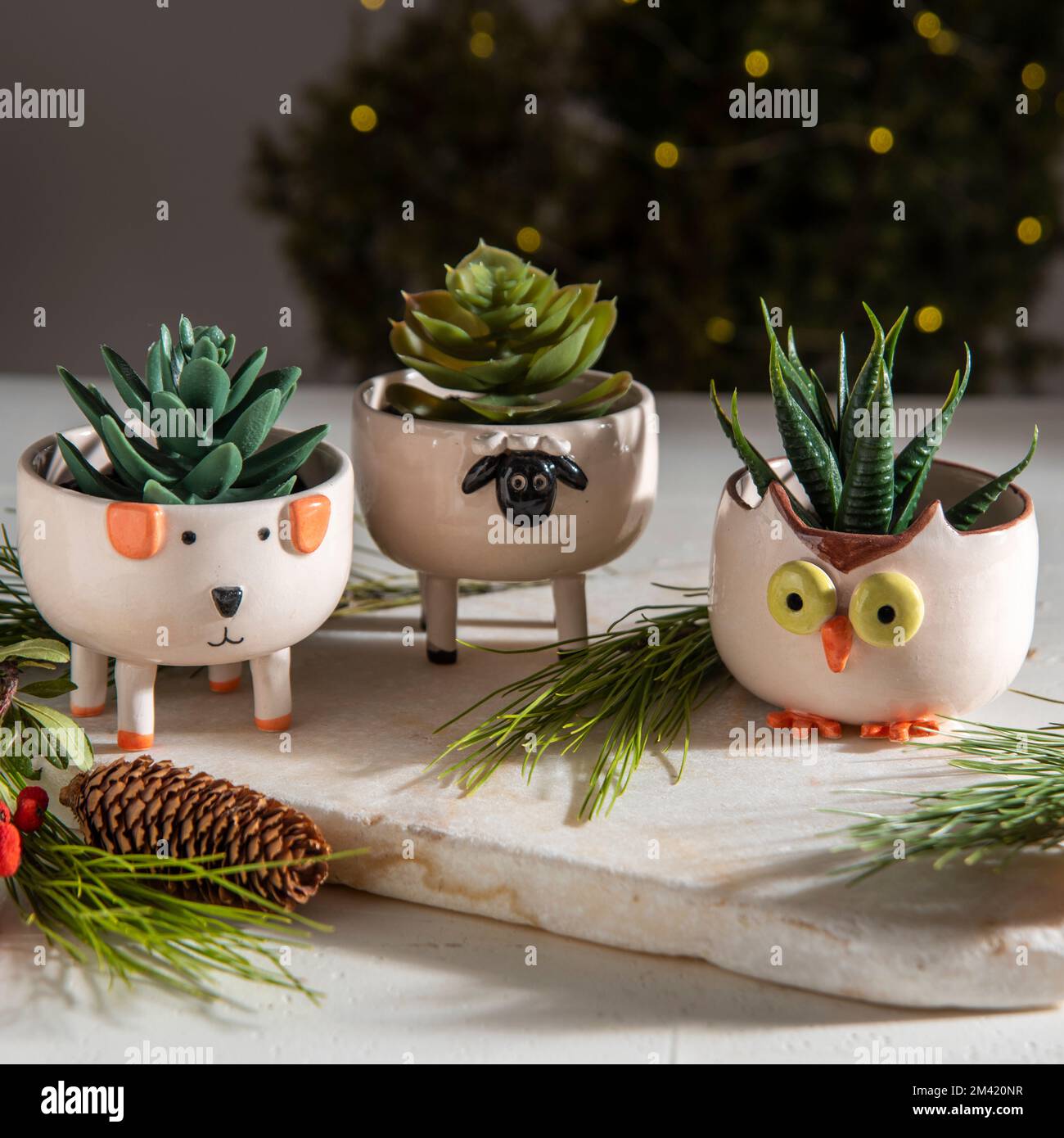 Pentole in ceramica di cactus con decorazioni natalizie e albero Foto Stock