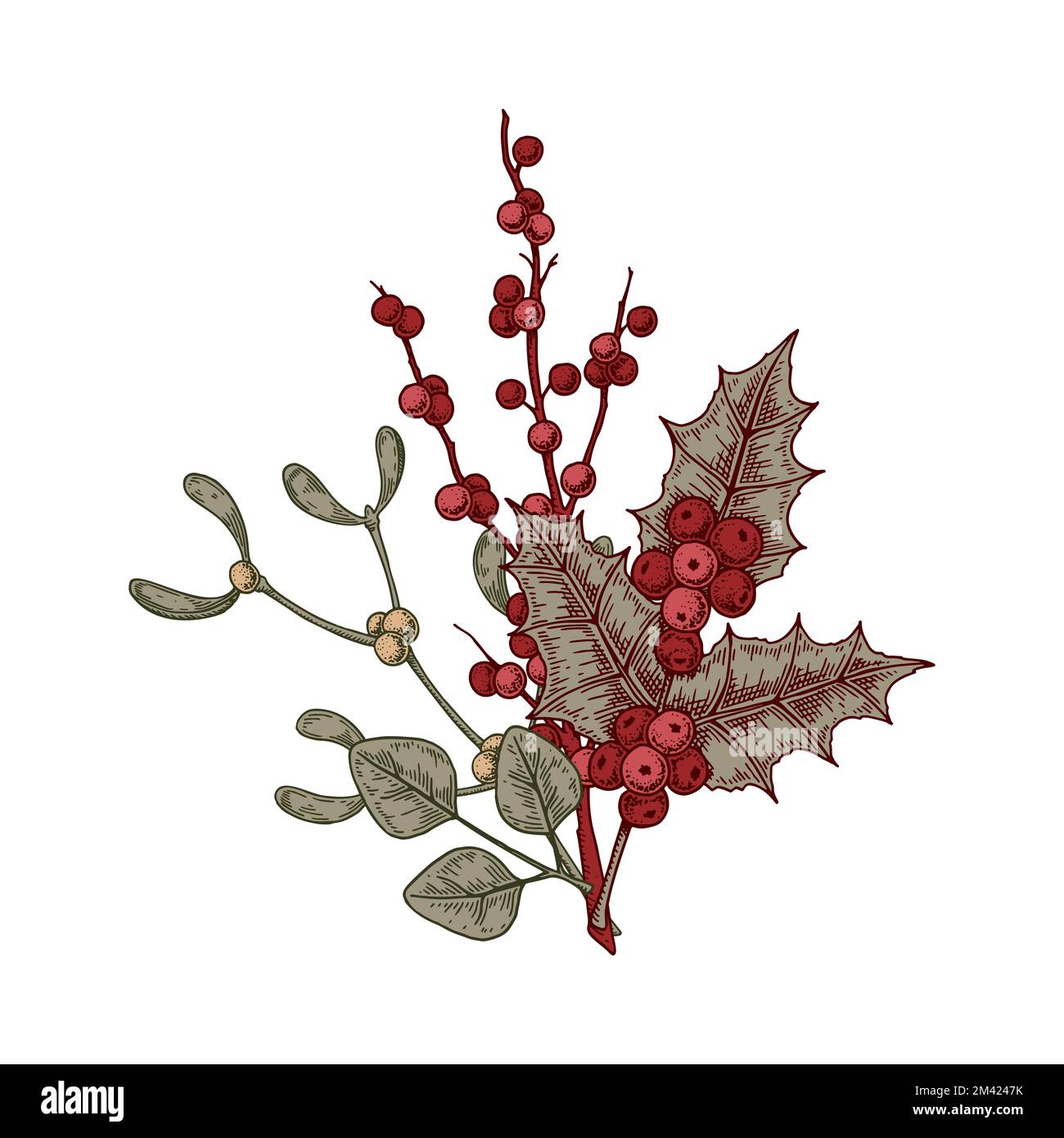 Composizione botanica di Natale con foglie d'agrifoglio e bacche e vischio. Illustrazione vettoriale nello stile di schizzo isolata su sfondo bianco Illustrazione Vettoriale