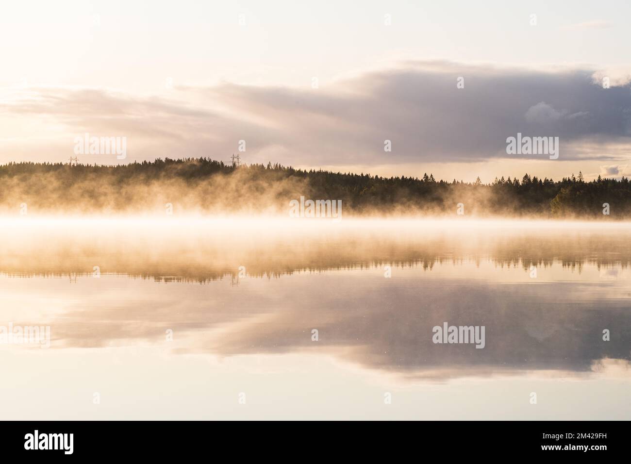 Lago nebbioso che riflette il cielo e gli alberi tranquilli Foto Stock