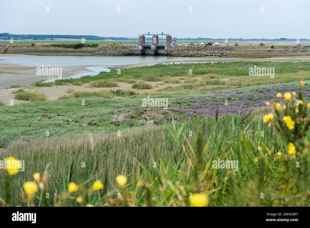 Vista sull'estuario a le Crotoy. Foto Stock