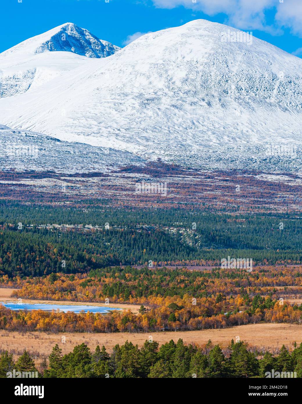 Alberi di fronte al paesaggio montano innevato Foto Stock