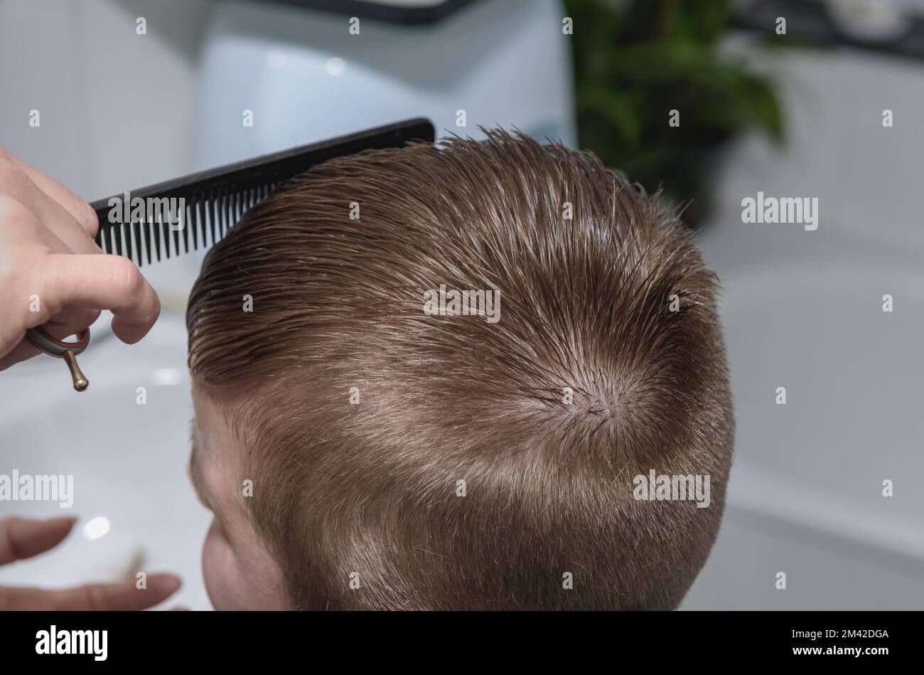 Il processo di taglio dei capelli di un ragazzo. Struttura dei capelli corta. Superficie di taglio e contorno Foto Stock
