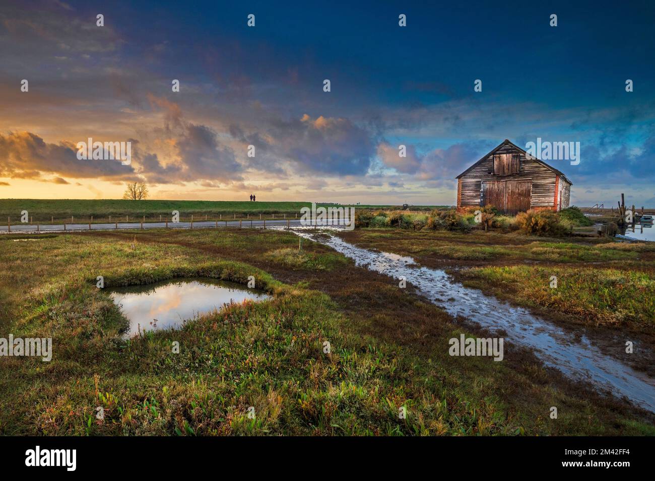 Thornham Old Harbour al tramonto, Thornham, Norfolk, Inghilterra, Regno Unito Foto Stock