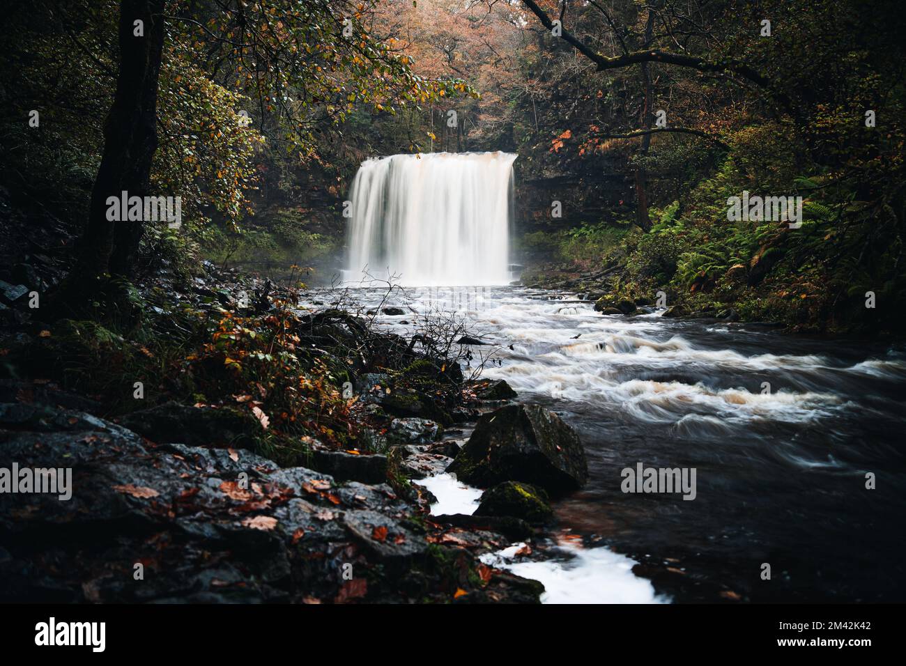 Sgwd yr Eira cascata o caduta di neve lungo le quattro cascate Walk, Waterfall Country, Brecon Beacons National Park, Galles del Sud, il Regno Unito Foto Stock