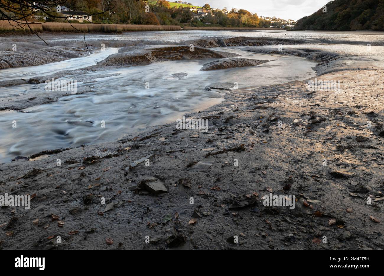 Fiume Tresillian a bassa marea, Truro, Cornovaglia Foto Stock