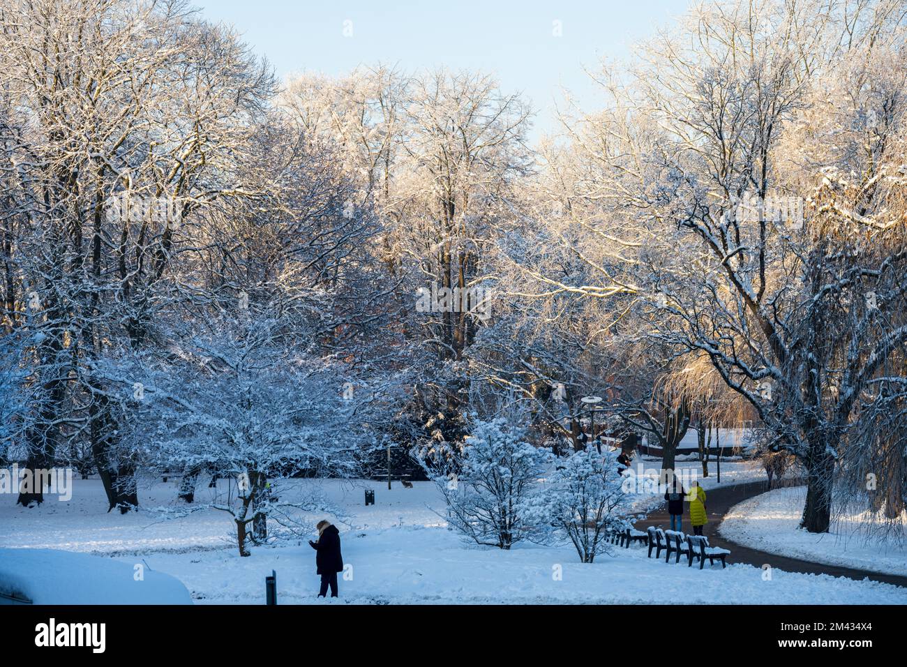 Spaziergänger im verschneiten Horoshimapark im Dezember Foto Stock