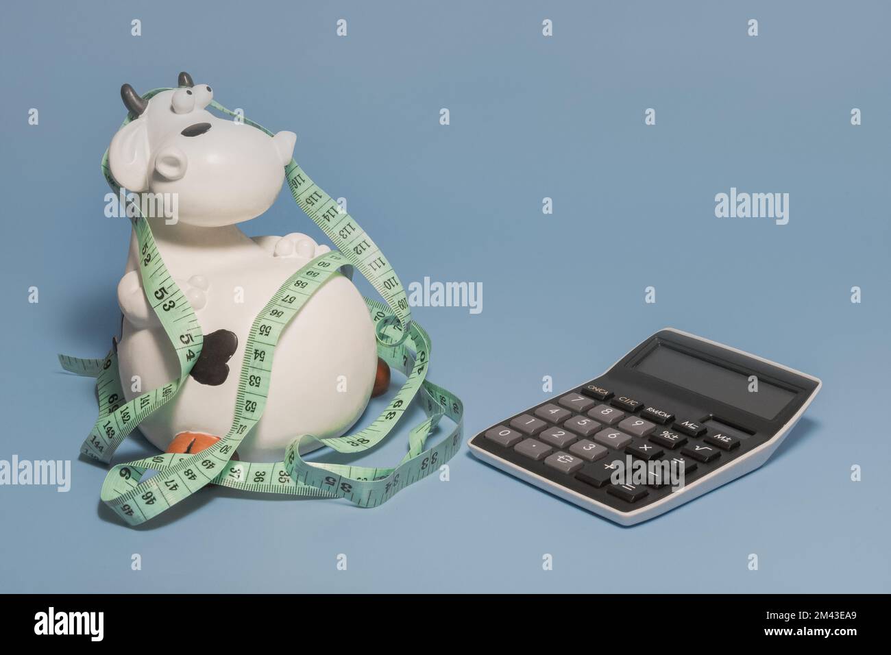 Conteggio delle calorie - composizione divertente con calcolatrice e mucca. Sfondo blu Foto Stock