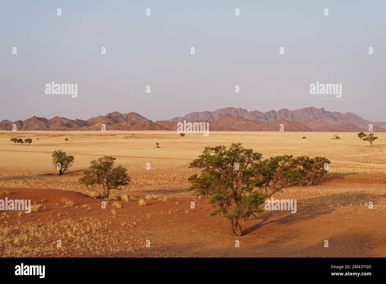 Namib: Vista dalla Duna di Elim Foto Stock