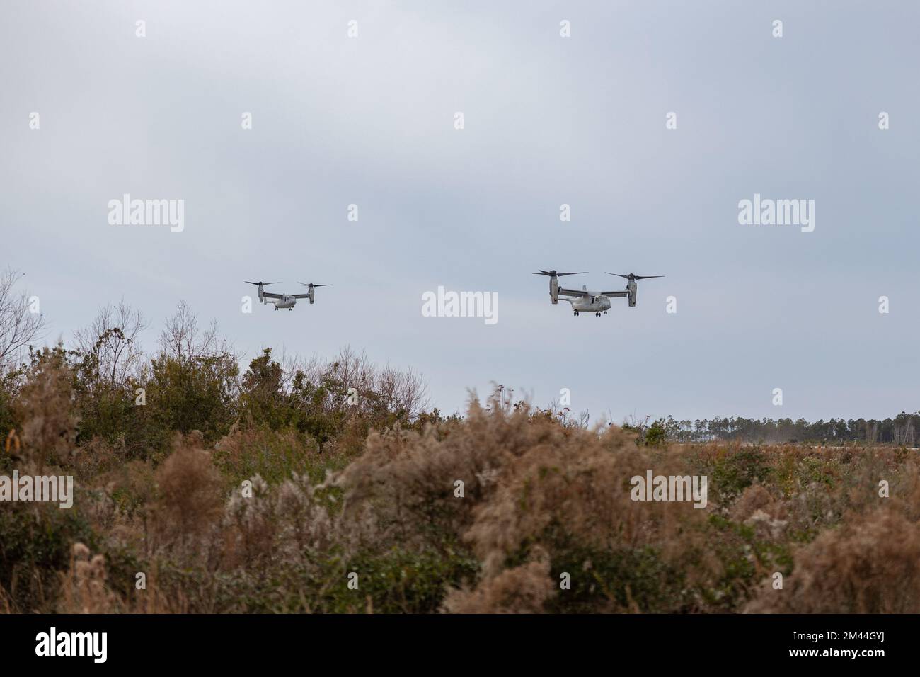 STATI UNITI Corpo marino MV-22 Ospreys assegnato a mezzo marino Tiltrotor Squadron 162 (VMM-162) rinforzato, 26th unità di spedizione marina, prepararsi ad atterrare durante un'evacuazione simulata non combattente sul corpo marino Auxiliary Landing Field Bogue, North Carolina, 17 dicembre 2022. Il NEO è stato uno dei molteplici scenari-based Esercizi condotti durante Marine Expeditionary Exercise (MEUEX) i, al fine di soddisfare i requisiti del Pre-Deployment Training Program (PTP) mediante la formazione alla missione MEU compiti essenziali NEO sono la partenza ordinata o autorizzata di civili non combattenti e personale militare non essenziale Foto Stock