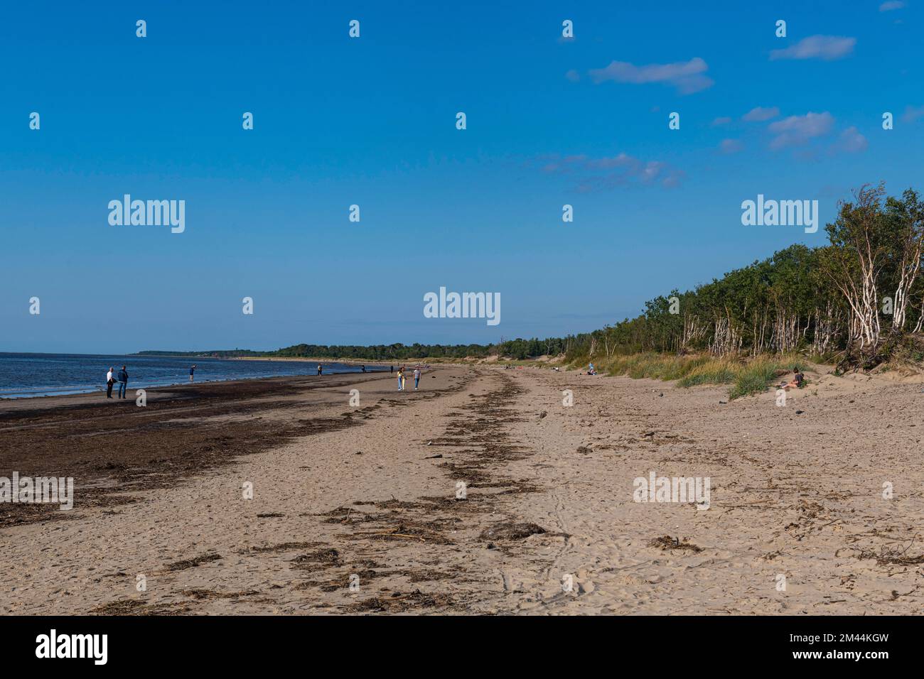 Lunga spiaggia sabbiosa sul mare bianco, Severodvinsk, Arkhangelsk Oblast, Russia Foto Stock