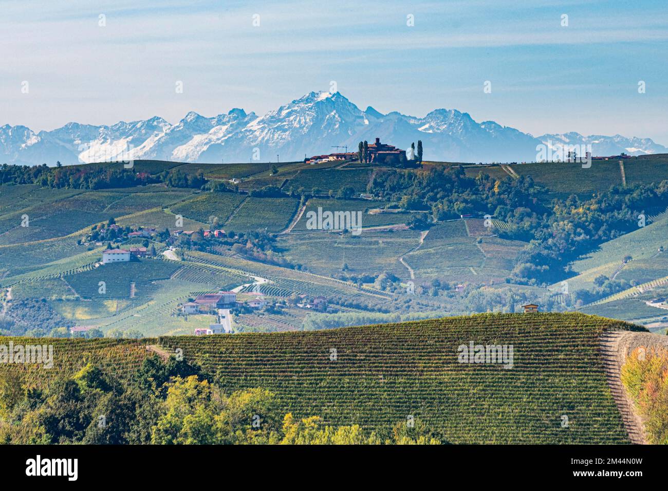 Vigneti prima delle Alpi nel sito patrimonio mondiale dell'UNESCO Piemonte, Italia Foto Stock