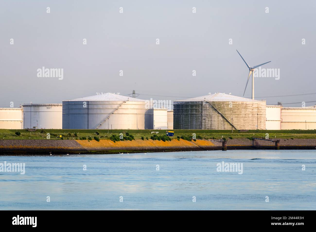 Harbourside grandi serbatoi di olio in acciaio con una turbina eolica sullo sfondo al tramonto Foto Stock