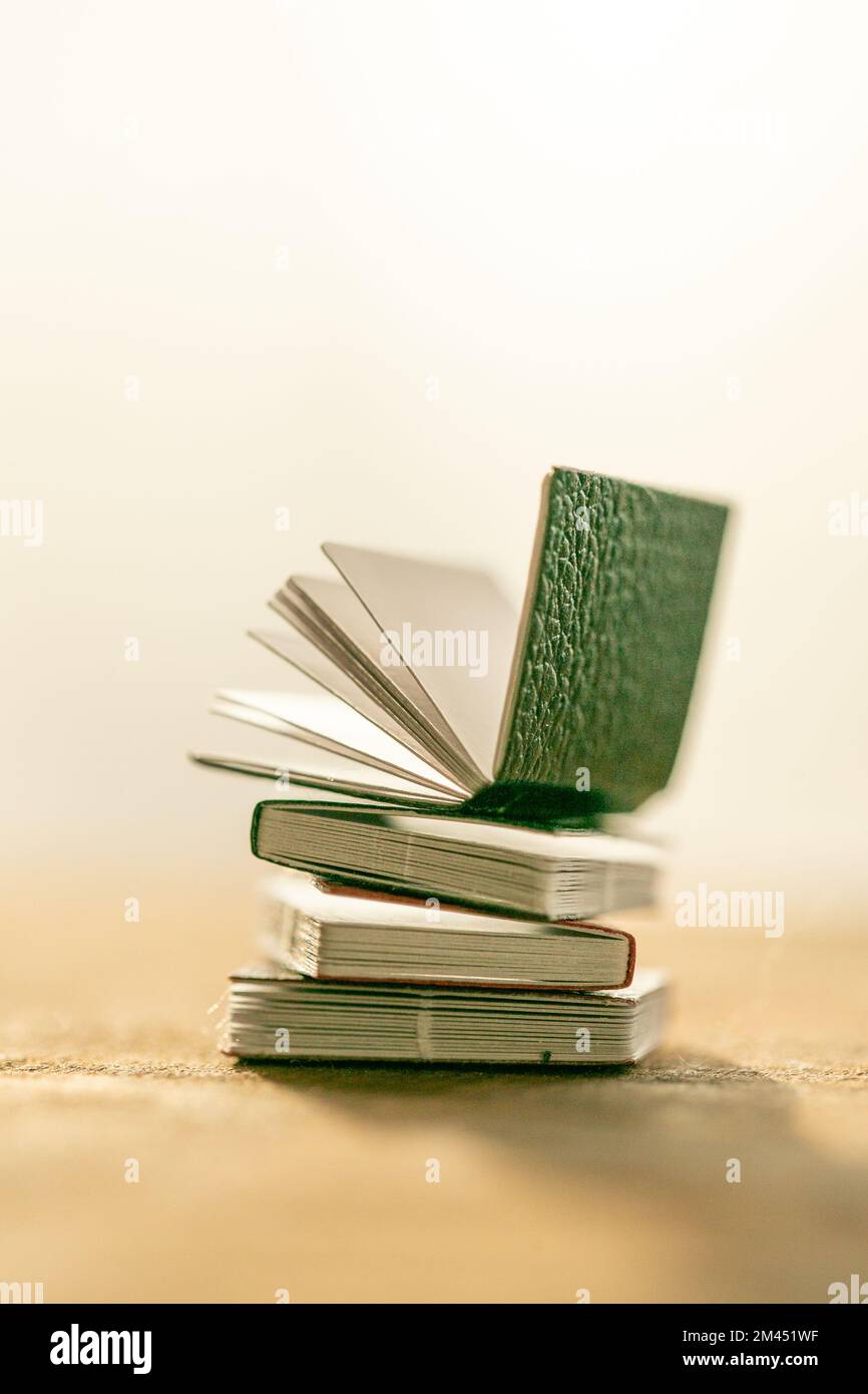 Leggere libri . pila di libri su un tavolo di legno su uno sfondo bianco sfocato. Soft focus.Learning e conoscenza Symbol.Reading e l'istruzione Foto Stock