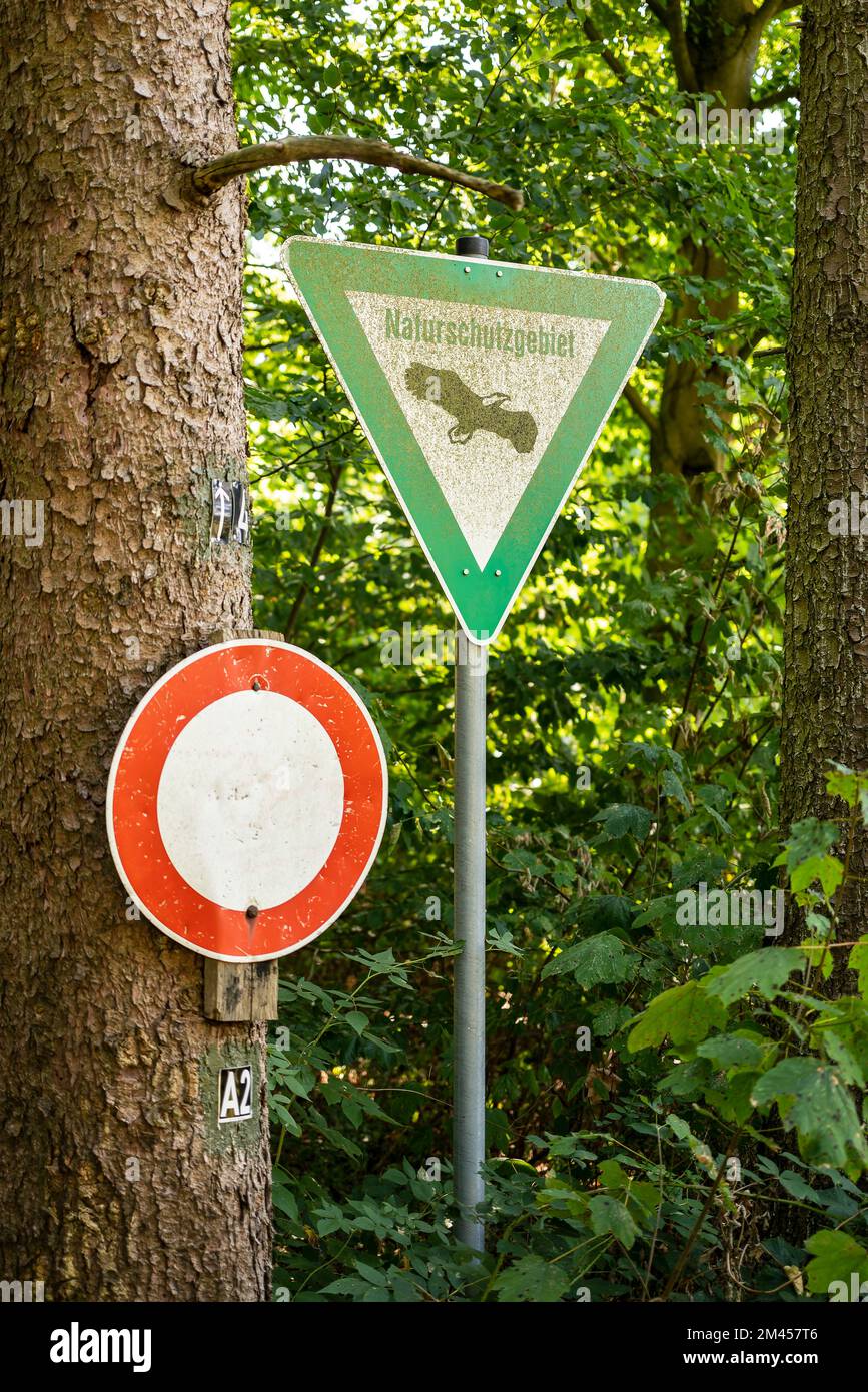 "Naturschutzgebiet" e "Nessuna voce!" Segni in una foresta, che segna una riserva naturale e zona di conservazione, Germania Foto Stock