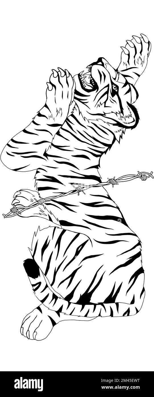 La tigre della penisola coreana e la linea di demarcazione Illustrazione Vettoriale