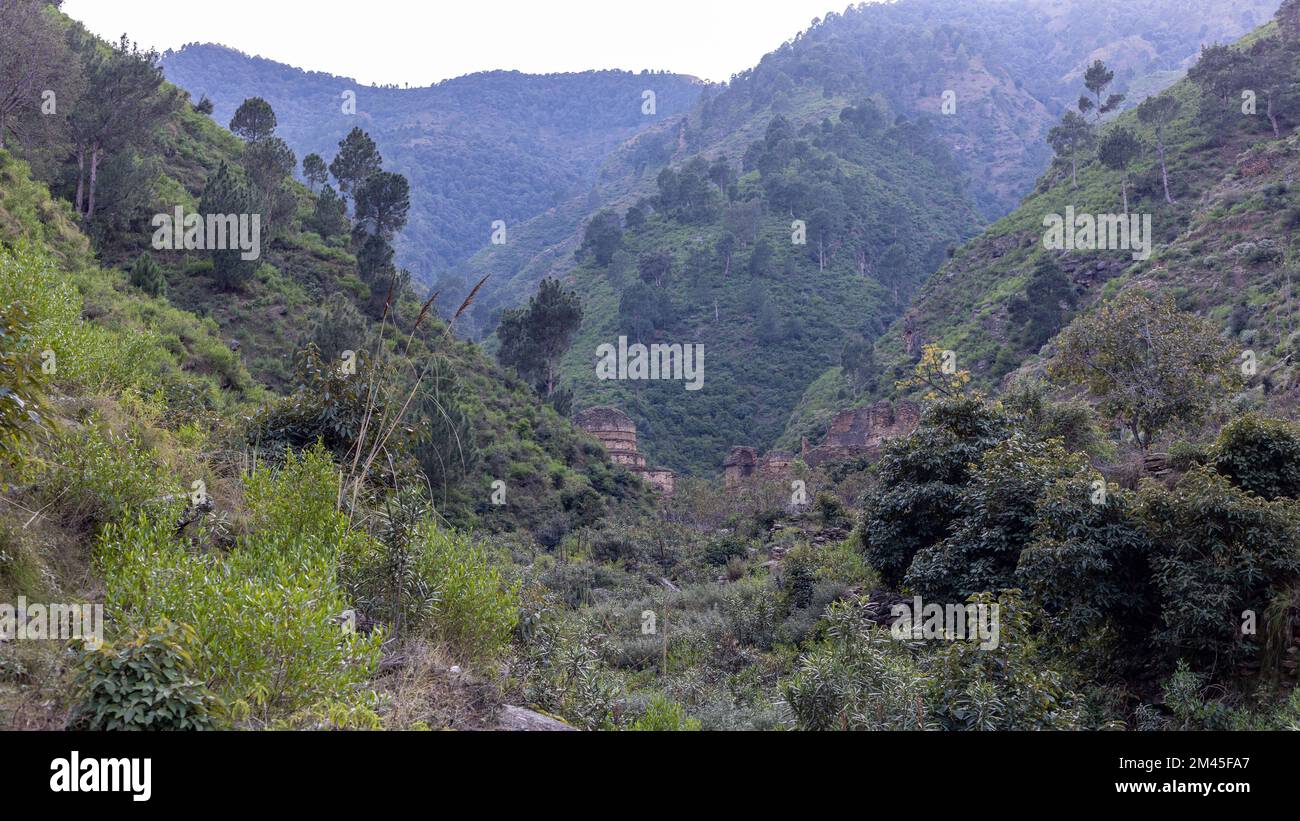 Il sito archeologico di Abbasahib Cheena situato nella valle di Najirgram Swat, Pakistan Foto Stock