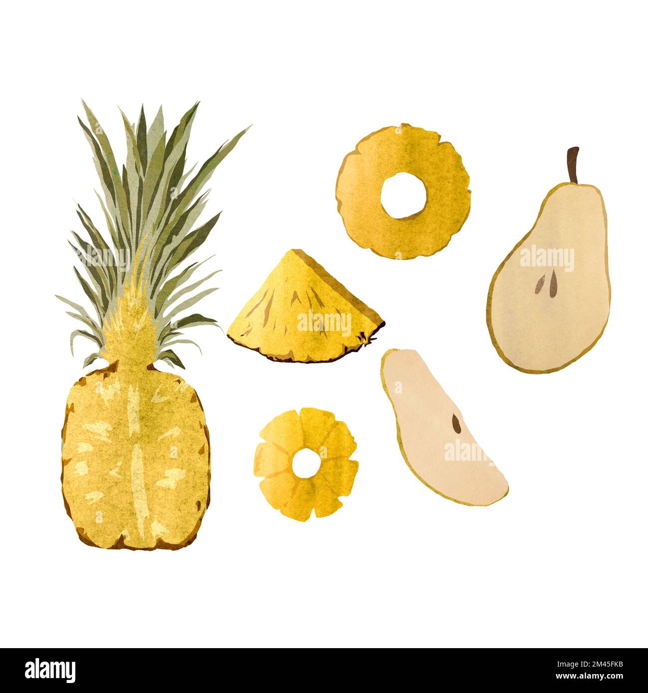 Pera di ananas parte metà fetta un acquerello Foto Stock