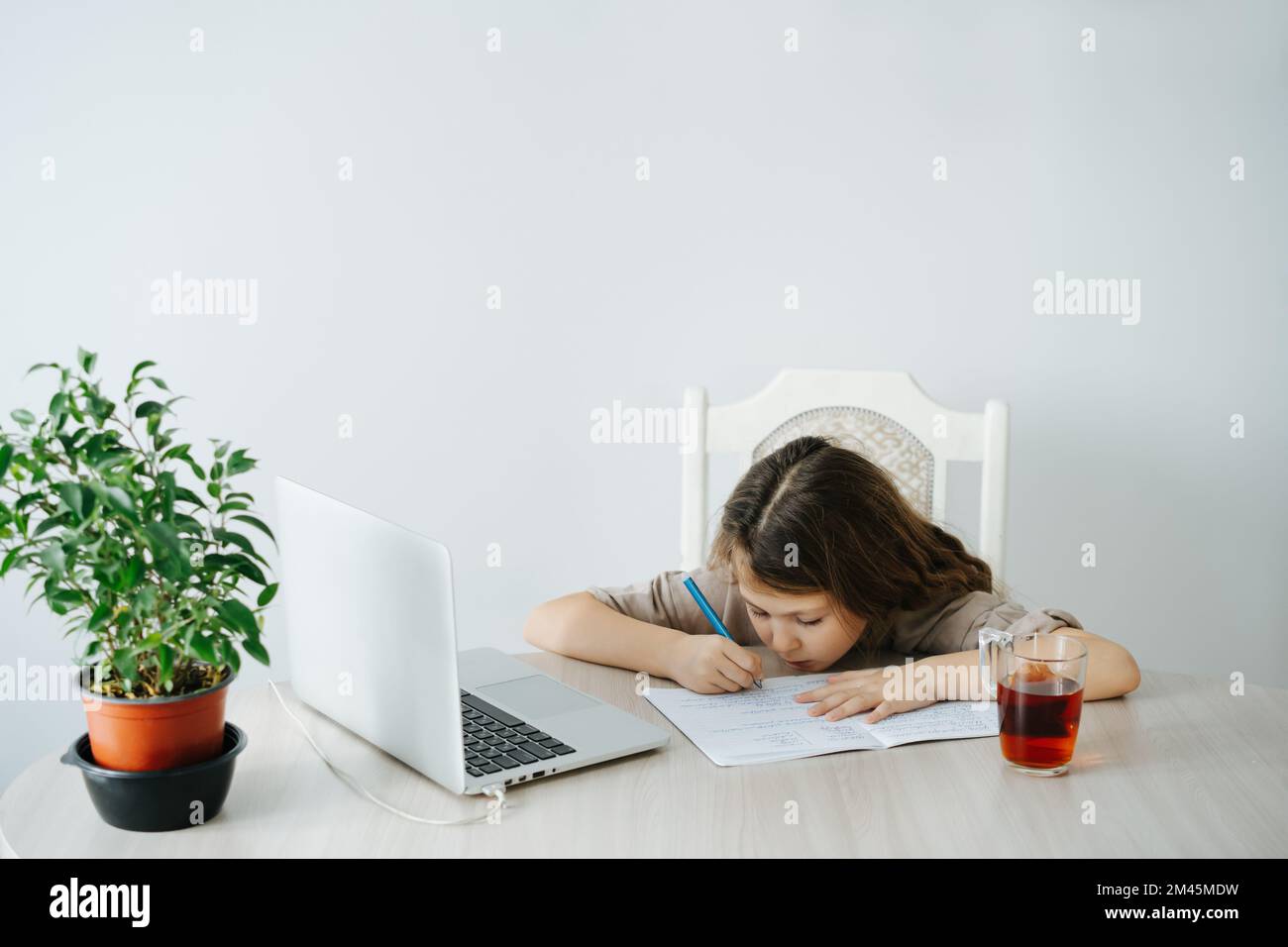 La bambina messa a fuoco sta studiando davanti a un laptop, scrivendo in un taccuino, guardandolo punto in bianco. Tazza da tè e pianta in vaso su un tavolo. Foto Stock