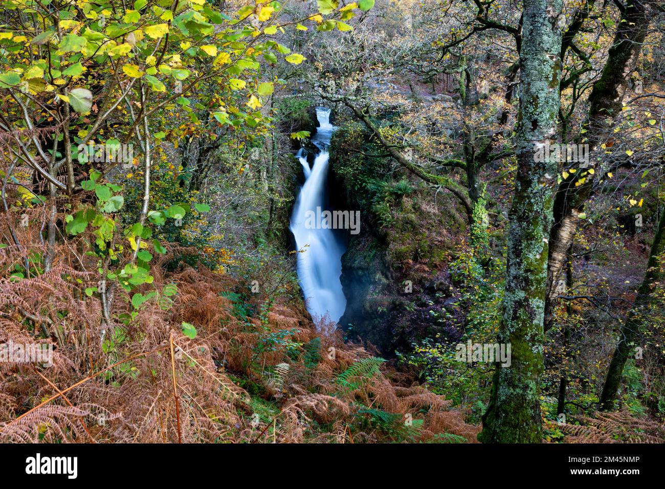 Aira Force cascata nel Lago Didtrict National Park, Cumbria. Foto Stock