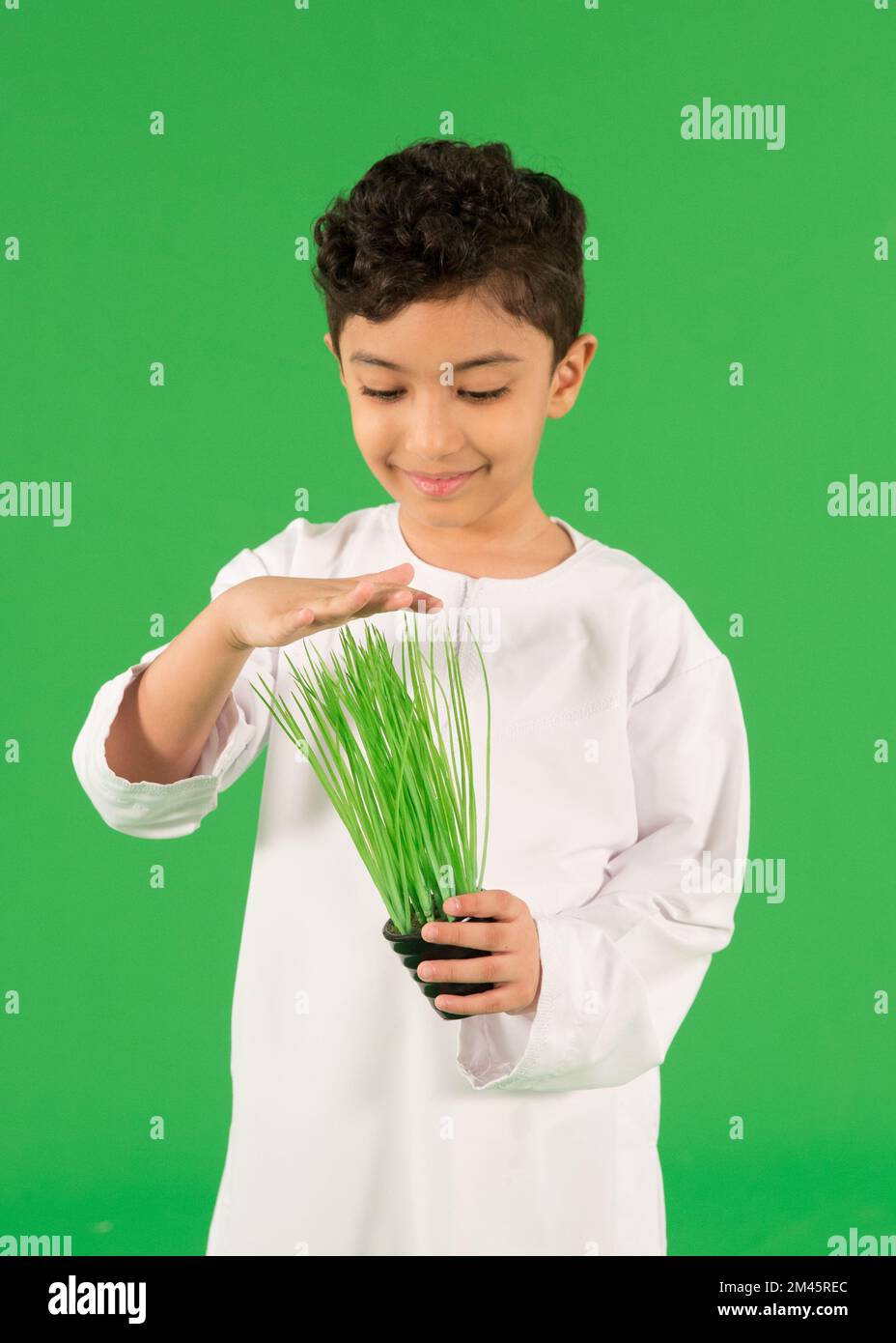 Emirati ragazzo che tiene in vaso pianta. Foto Stock