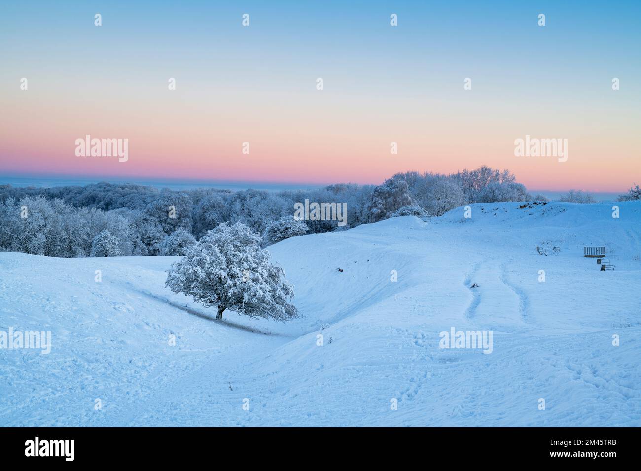 Broadway Hill all'alba nella neve d'inverno lungo la cotswold Way. Broadway, Cotswolds, Worcestershire, Inghilterra Foto Stock