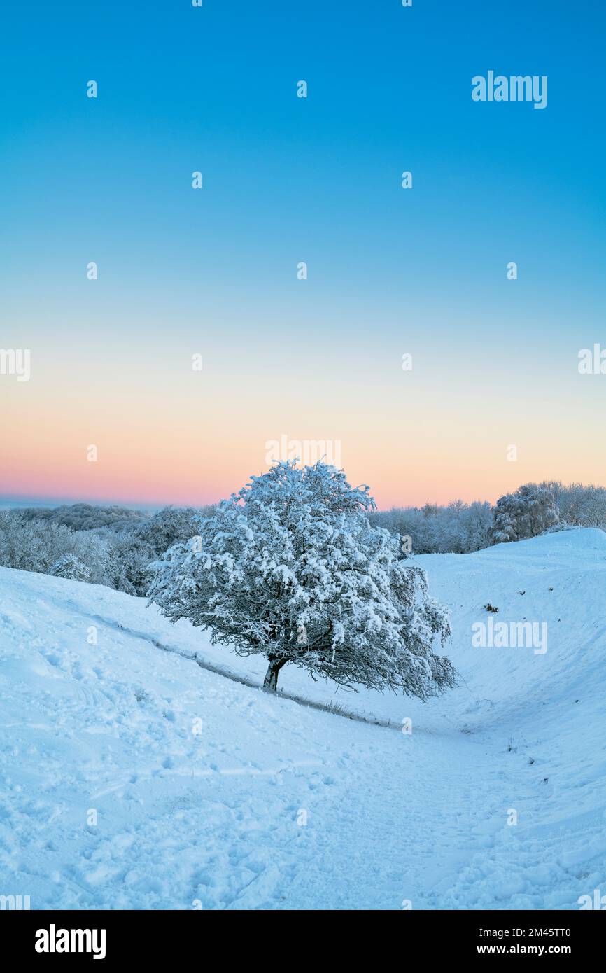Broadway Hill all'alba nella neve d'inverno lungo la cotswold Way. Broadway, Cotswolds, Worcestershire, Inghilterra Foto Stock