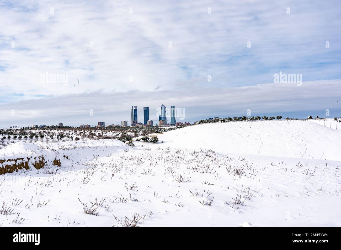 Parco cittadino coperto di neve dopo una nevicata. Concetto di stagione invernale. Foto Stock