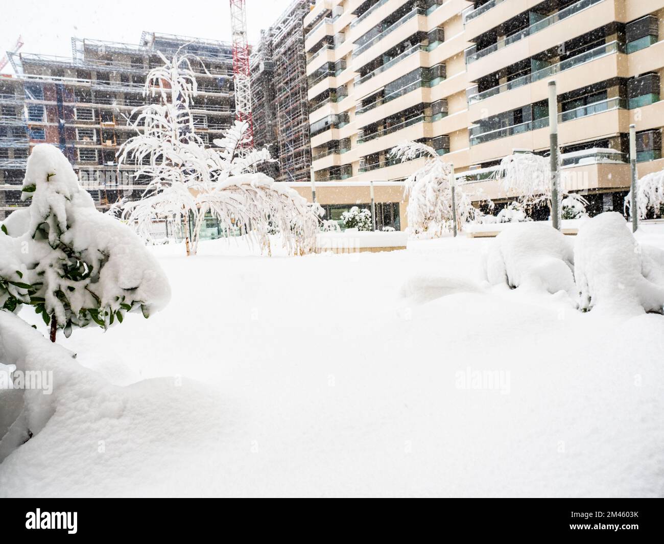 Area urbana coperta di neve in una giornata invernale. Concetto invernale. Foto Stock