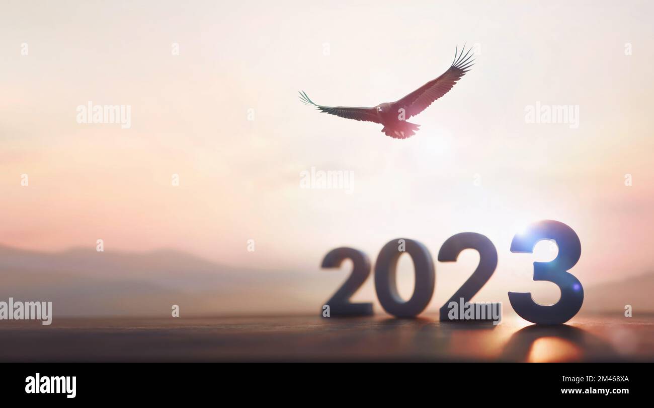 2023 Capodanno luminoso sorgere del sole e l'alba e un'aquila che vola in alto nel cielo con le sue ali spalancate Foto Stock