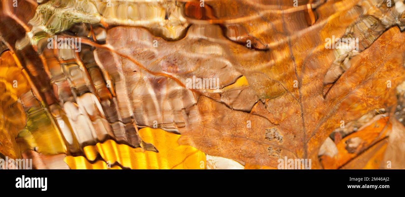 Acqua fluviale, Parco Nazionale della Sierra de Guadarrama, Monti Guadarrama, Segovia, Castilla y León, Spagna, Europa Foto Stock