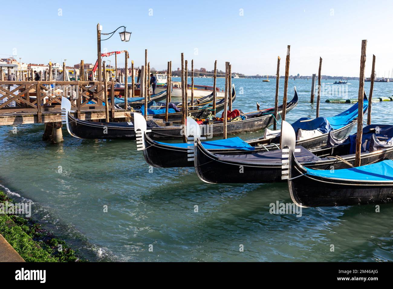 Venezia, la sua caratteristica architettura e gondole, che arricchiscono il suo magnifico scenario. Foto Stock
