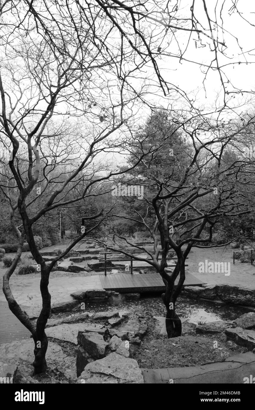 Clifton Park Rock giardino - in bianco e nero Foto Stock